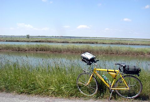Il Delta vicino a Scanarello