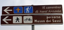 Segnaletica